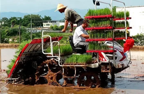 農業機械來助力 加快夏種水稻進度