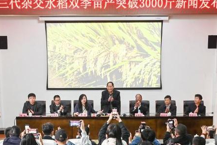 袁隆平：下一個雜交水稻雙季稻畝產目標是4000斤